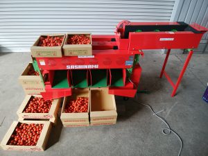 ミニトマト選別機